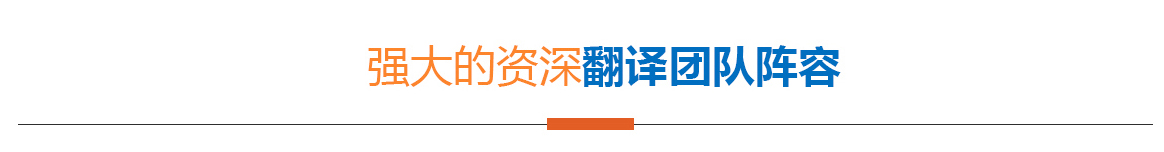 強大資深的翻譯團隊